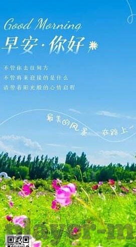 足球比分 捷报-绿茵烽火映捷报，足球比分背后的热血与荣耀